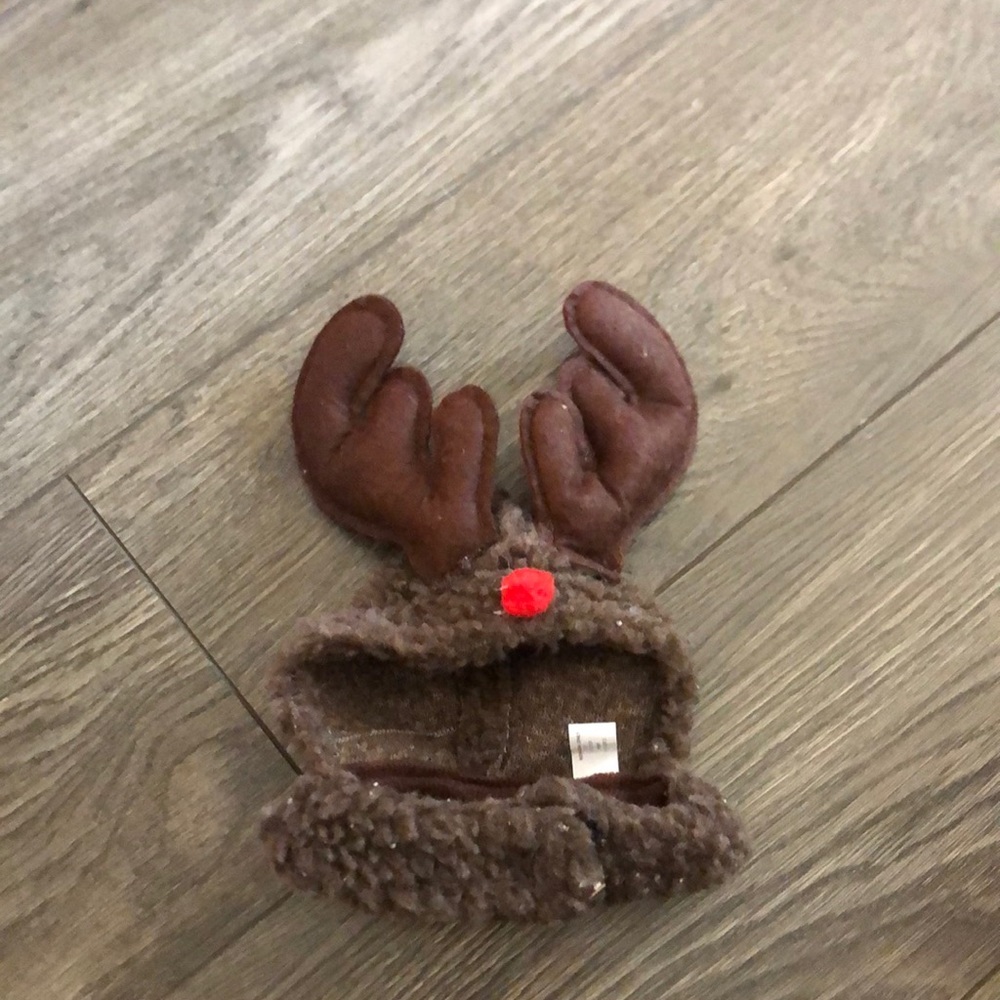 FREE Reindeer costume for small pet